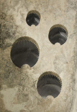 AYTM Concha Haak Zilver -Gubis Winkel 507111 01 11 EnvironmentImage 5c835599d4