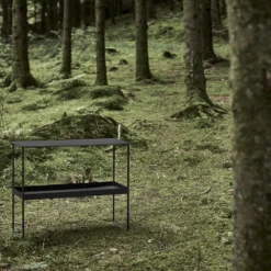 LIND DNA Console Bull Sidetable 9 LIND DNA Console Bull Sidetable -Gubis Winkel Console Bull miljo2 57f9c0fd16