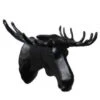 Moose Haak 2 Moose Haak -Gubis Winkel p 17104 02 01 6839af8733